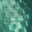 Social Policy in a Changing Society (Studies in Government and Public)