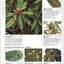 American Horticultural Society Pests and Diseases: The Complete Guide to Preventing, Identifying and Treating Plant Problems