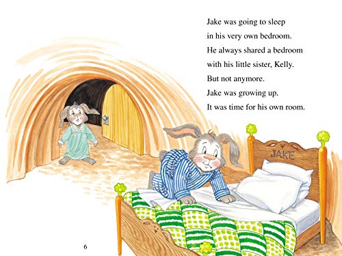 Jake's Brave Night: Biblical Values, Level 2 (I Can Read! / The Jake Series)