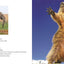 Comedy Wildlife Photography Awards Vol. 3
