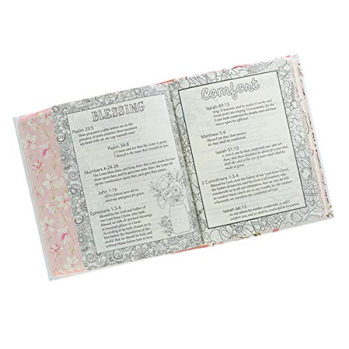 KJV Holy Bible, My Promise Bible, Hardcover with Bible Tabs