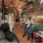 Proceed and Be Bold: Rural Studio After Samuel Mockbee
