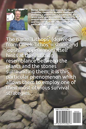 Lithops - Flowering Stones