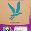Fun With Birds Stencils (Dover Little Activity Books: Animals)