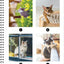 Brain Games - Sticker by Number: All You Need is Cats (27 Images to Sticker)