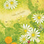 Sunshine On My Shoulders (John Denver Series)