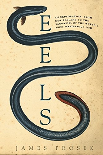 Eels: An Exploration, from New Zealand to the Sargasso