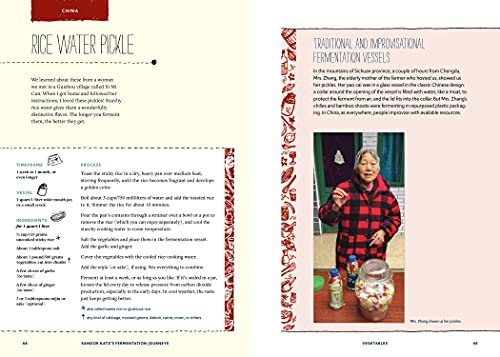 Sandor Katz? Fermentation Journeys: Recipes, Techniques, and Traditions from around the World