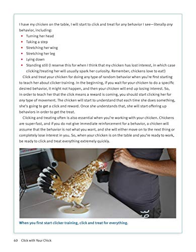 Click with Your Chick: A Complete Chicken Training Course Using the Clicker (CompanionHouse) Train Hens to Come When Called, Perch on Your Arm, and Do Tricks, with Positive Reinforcement [BOOK ONLY]