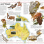 The Animal Atlas: A Pictorial Guide to the World's Wildlife (DK Pictorial Atlases)