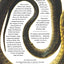 Out of Eden: An Odyssey of Ecological Invasion