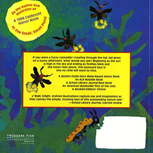 In the Tall, Tall Grass (An Owlet Book) by denise-fleming