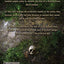 Primitive War by Pettus, Ethan (Paperback)