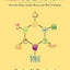 Neurogastronomy: How the Brain Creates Flavor and Why It Matters