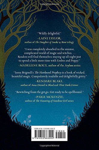 The Hawkweed Prophecy (The Hawkweed Series, 1)