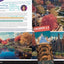 Life is Strange: Welcome to Caledon University