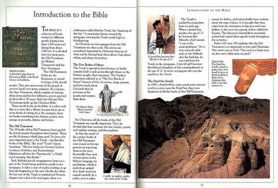 Illustrated Jewish Bible for Children