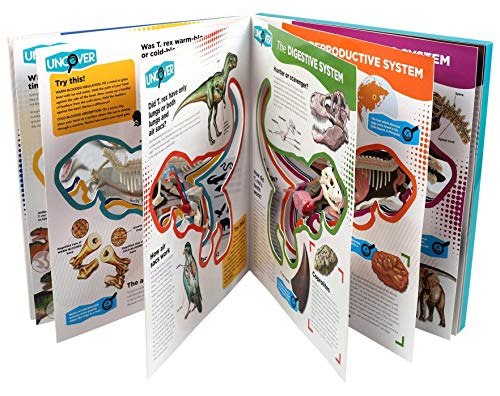 Uncover a T.Rex by Schatz, Dennis