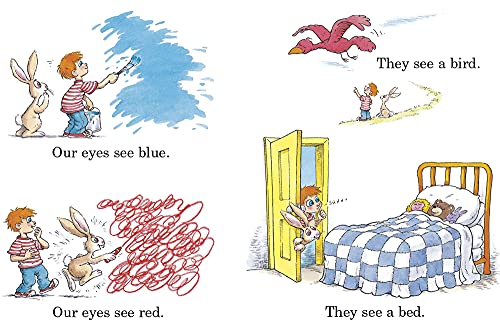 The Eye Book (Bright & Early Board Books)