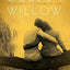 The Golden Willow: The Story of a Lifetime of Love by Bernst