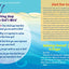 Devotions Below the Surface: 52 Weeks Submerged in God's Love