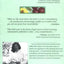 The Backyard Orchardist: A Complete Guide to Growing Fruit Trees in the Home Garden