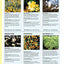 Plant Combinations for an Abundant Garden: Design and Grow a Fabulous Flower and Vegetable Garden (Creative Homeowner) Practical Advice, Step-by-Step Instructions, and a Comprehensive Plant Directory