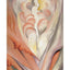Georgia O'Keeffe A Book of Postcards: Abstraction