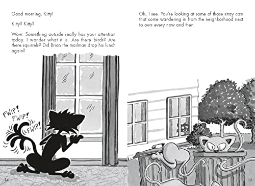 Bad Kitty for President (classic black-and-white edition)