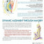 Dynamic Alignment Through Imagery