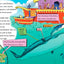 A Whale of a Tale! All About Porpoises, Dolphins, and Whales (The Cat in the Hat's Learning Library)