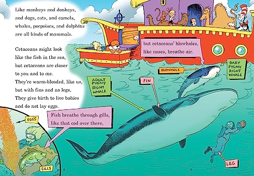 A Whale of a Tale! All About Porpoises, Dolphins, and Whales (The Cat in the Hat's Learning Library)