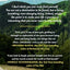 The Wilder Way: A Memoir of Adventure, Freedom, and an Uncharted Life