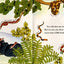 Snakes Are Hunters (Let's-Read-and-Find-Out Science 2)