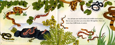 Snakes Are Hunters (Let's-Read-and-Find-Out Science 2)