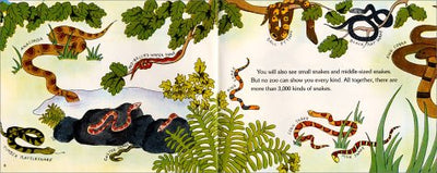 Snakes Are Hunters (Let's-Read-and-Find-Out Science 2)
