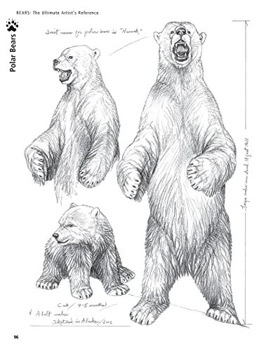 Bear: The Ultimate Artist's Reference (Fox Chapel Publishing) A Comprehensive Collection of 100 Sketches, 150 Photographs, and Reference Material for All North American Bear Species