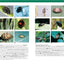 Insects: Their Natural History and Diversity: With a Photographic Guide to Insects of Eastern North America