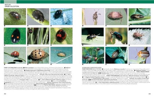 Insects: Their Natural History and Diversity: With a Photographic Guide to Insects of Eastern North America