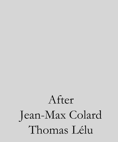 After (Sternberg Press) (English and French Edition)