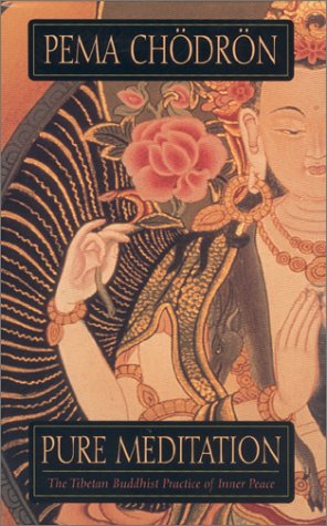 Pure Meditation: The Tibetan Buddhist Practice of Inner Peace