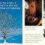 A Tree for All Seasons (Rise and Shine)