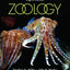 Zoology by Miller, Stephen