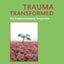 Trauma Transformed: An Empowerment Response (Empowering the Powerless: A Social Work Series)