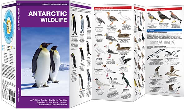 Antarctic Wildlife: A Folding Pocket Guide to Familiar Species of the Antarctic and Subantarctic Environments (Nature Observation International)