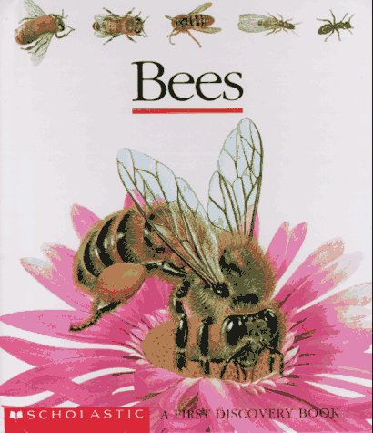 Bees (First Discovery)