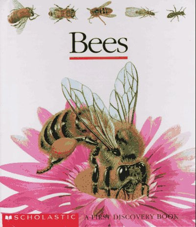 Bees (First Discovery)