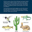 The Nature of Arizona, 2nd ed: An Introduction to Familiar Plants, Animals & Outstanding Natural Attractions