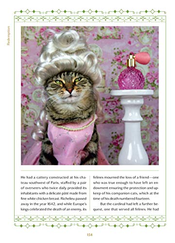 A Cat's Tale: A Journey Through Feline History by Koudounari