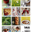The Great British Bake Off Big Book of Baking